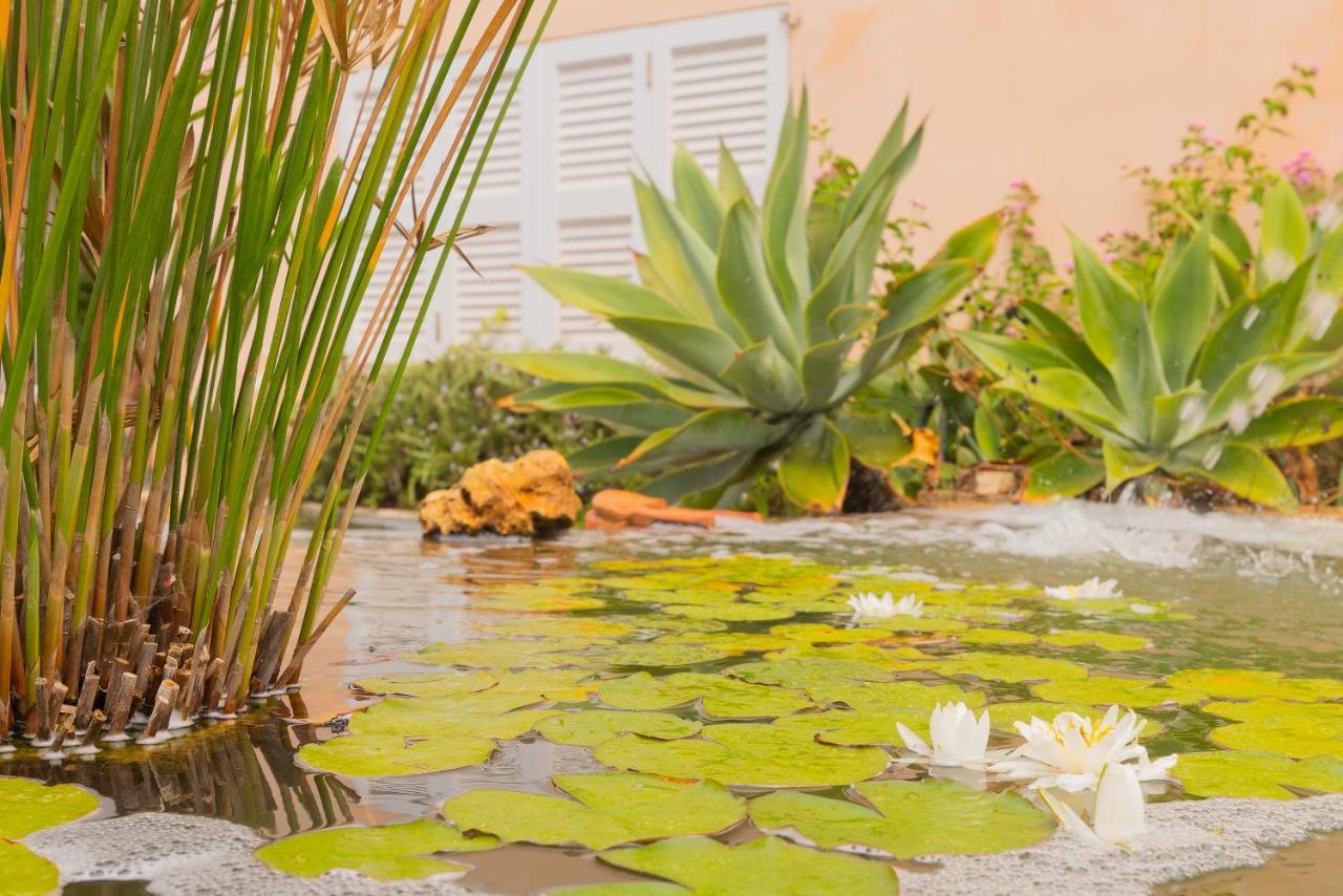 Dolce Vakantiehuis Portocolom (Mallorca)